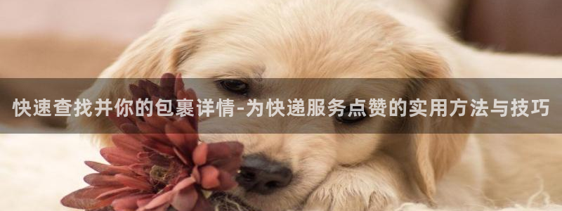 超凡国际注册网址百度知道：快速查找并