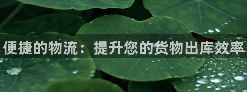 超凡国际注册链接入口：便捷的物流：提