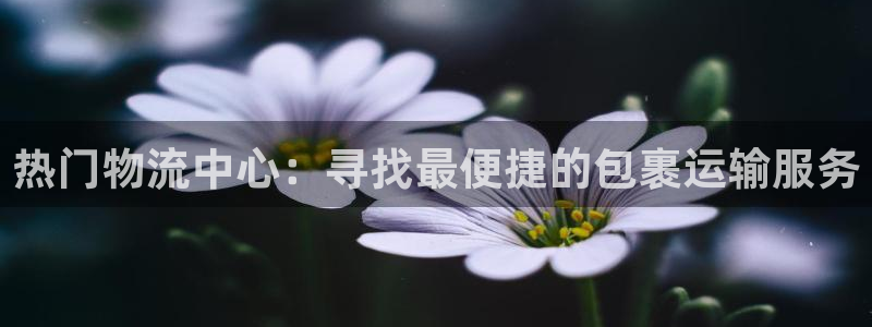 超凡国际注册条件：热门物流中心：寻找