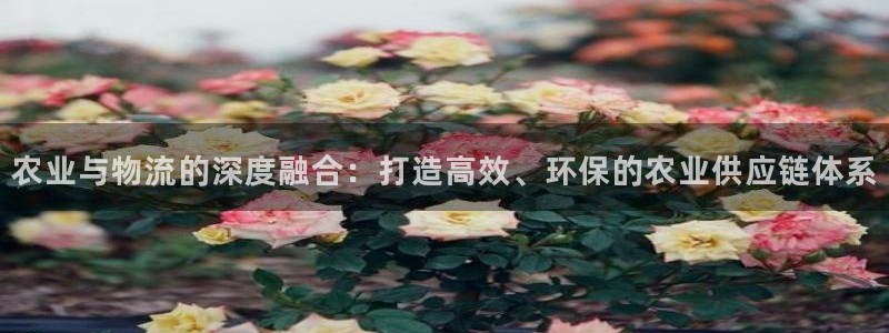 超凡国际app官网少林足球：农业与物流的深度融合：打造高效、