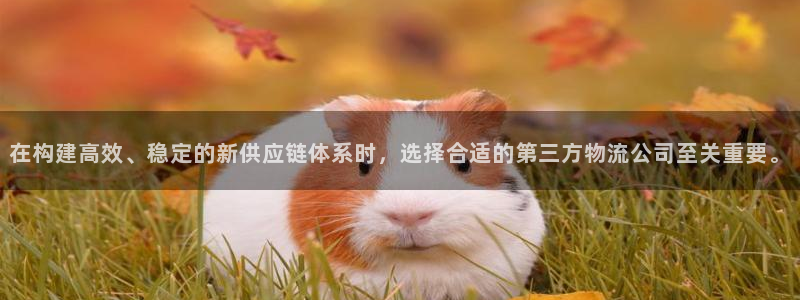超凡国际链官网：在构建高效、稳定的新