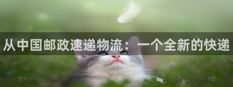 超凡国际如何退款：从中国邮政速递物流