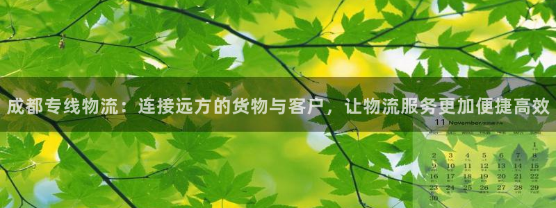 超凡国际充值不到账怎么回事：成都专线