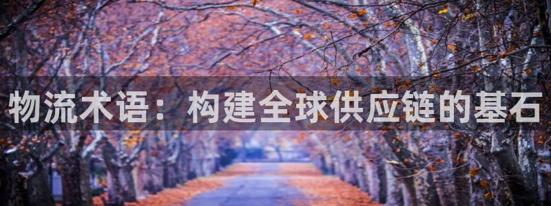 超凡国际登录不上咋回事：物流术语：构建全球供应链的基石