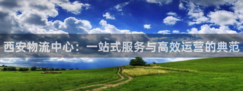 超凡国际网站怎么注册：西安物流中心：