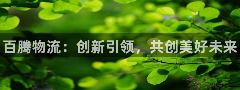 超凡国际官网下载加拿大：百腾物流：创新引领，共创美好未来