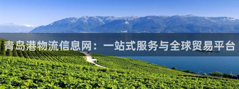 超凡国际注册与教程：青岛港物流信息网