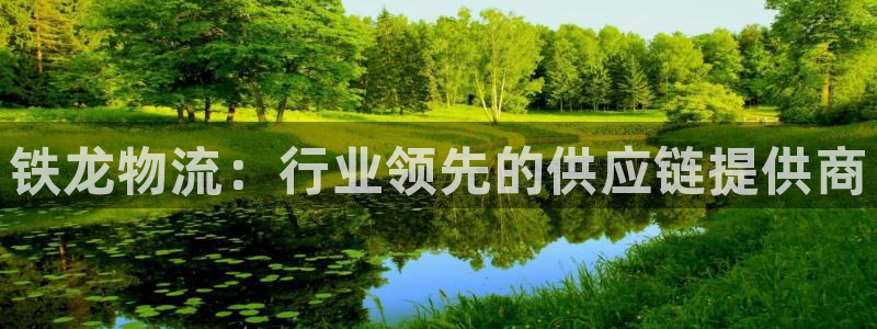 超凡国际登录用户名登录不上：铁龙物流