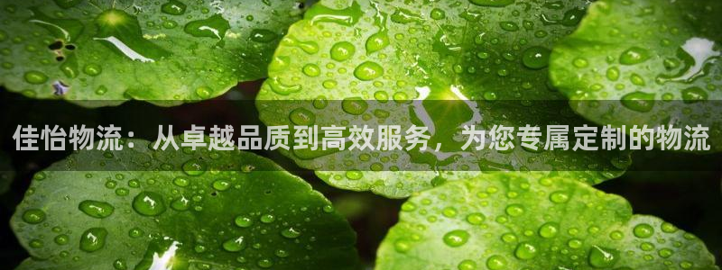 超凡国际注册登录链接：佳怡物流：从卓
