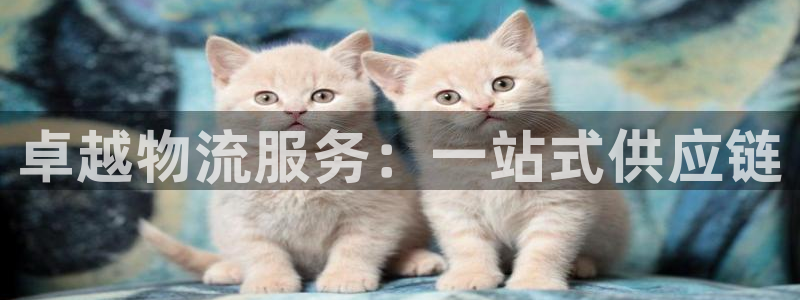 超凡国际v6能卖多少：卓越物流服务：