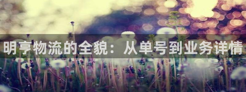 超凡国际注册二维码：明亨物流的全貌：