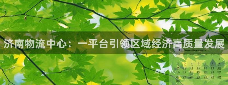 超凡国际充值方式：济南物流中心：一平