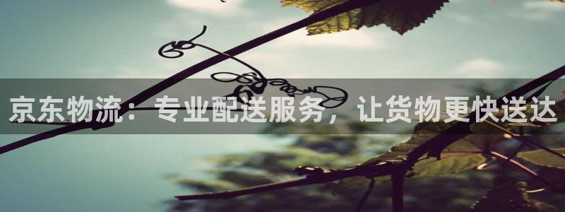 超凡国际比特28真实吗：京东物流：专