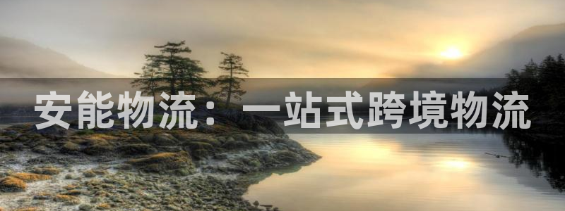 超凡国际模拟器在线玩：安能物流：一站