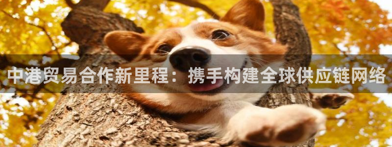 超凡国际犯法吗