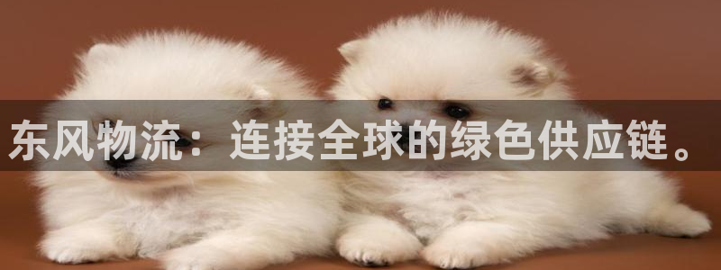 超凡国际注册入口与教程：东风物流：连接全球的绿色供应链。