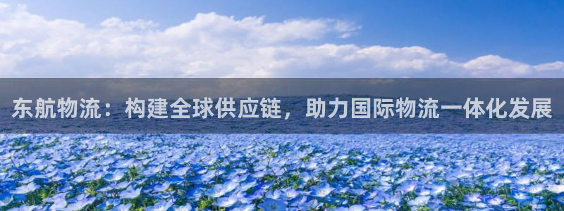 超凡国际登录流程：东航物流：构建全球供应链，助力国际物流一体